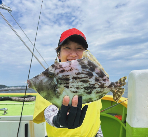 カワハギの釣果