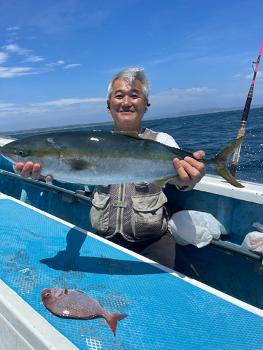 ワラサの釣果