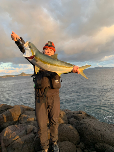 ヒラマサの釣果