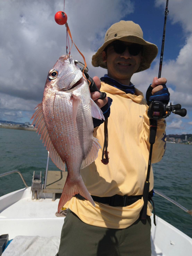 マダイの釣果