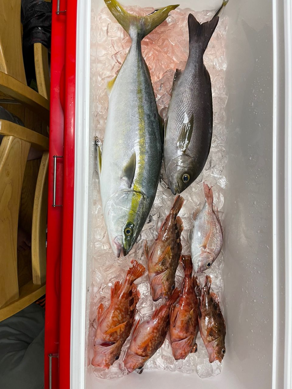 目指せ　GT 修行中さんの釣果 1枚目の画像