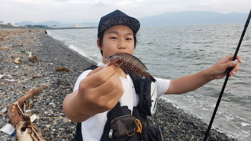 オオモンハタの釣果