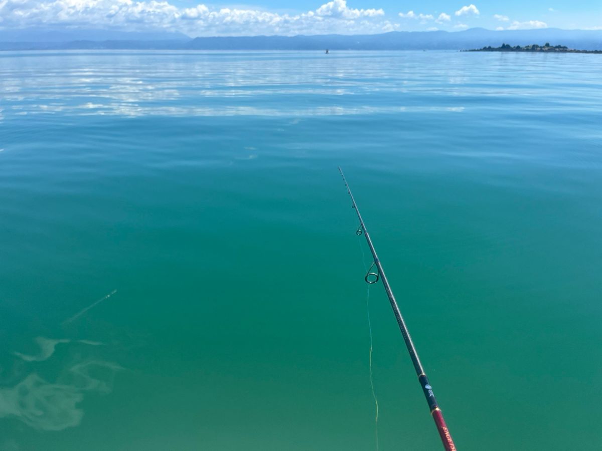 BOZUさんの釣果 3枚目の画像