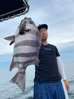 イシダイの釣果