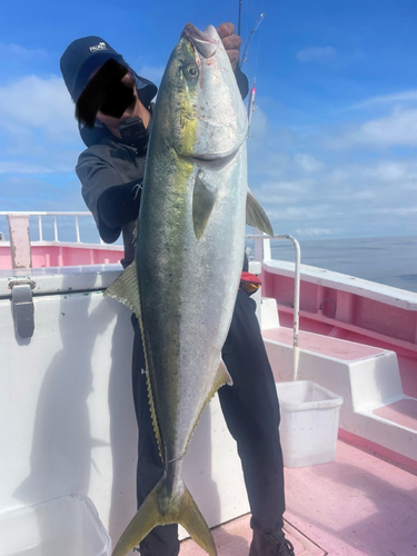 ワラサの釣果