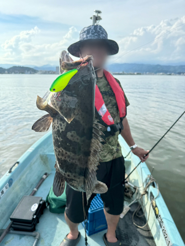 ハタの釣果