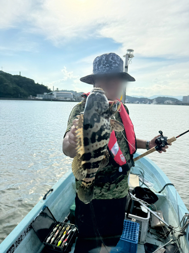 ハタの釣果