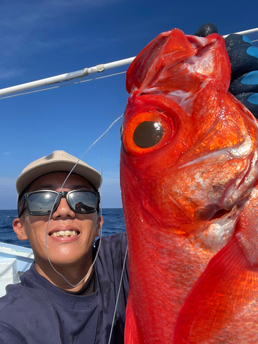 キンメダイの釣果