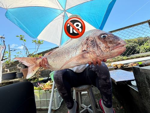 タイの釣果