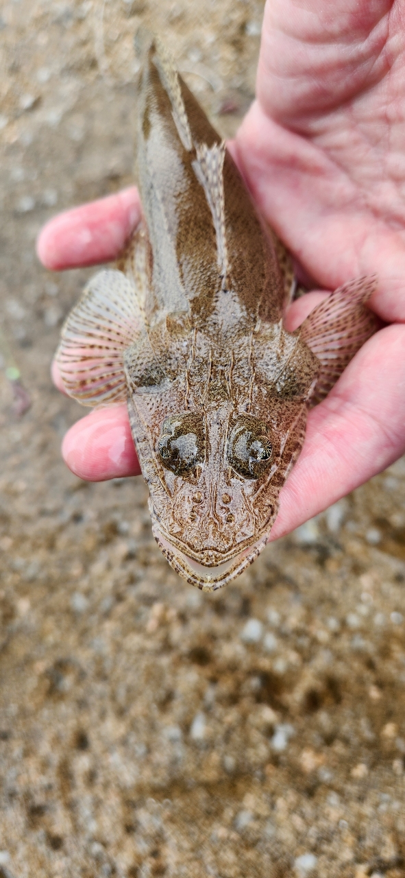 キス