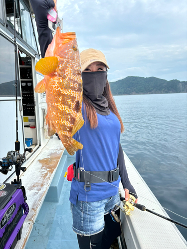 アコウの釣果