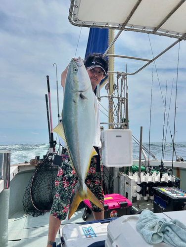 メジロの釣果