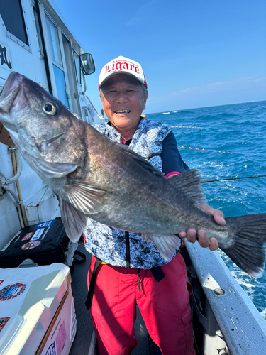 アラの釣果