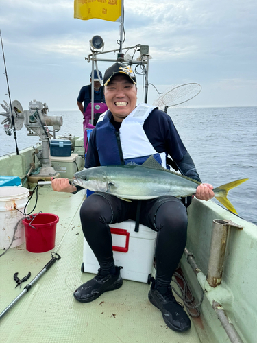 ブリの釣果