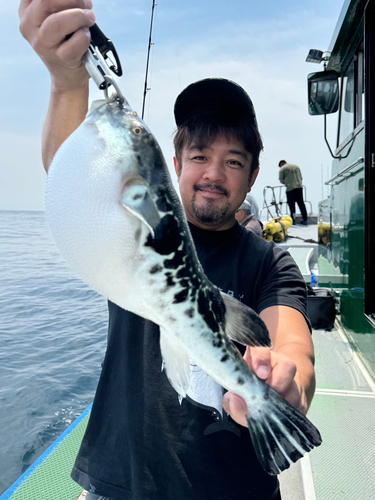 トラフグの釣果