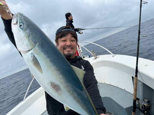 ワラサの釣果