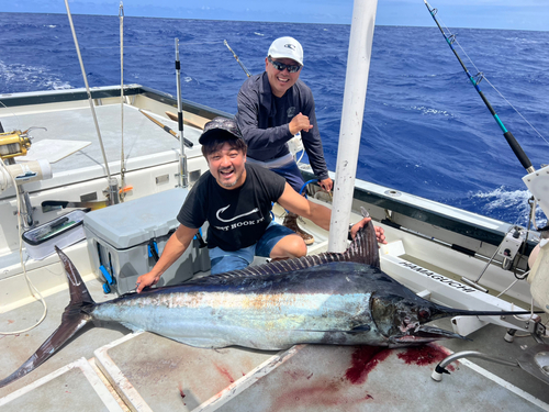 ブルーマーリンの釣果