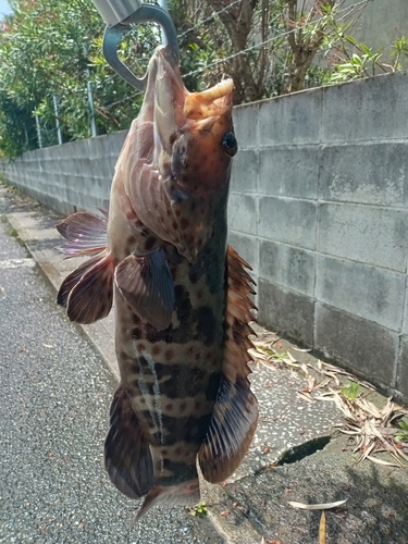 釣果