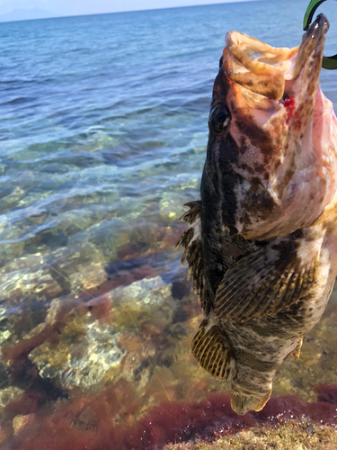 釣果