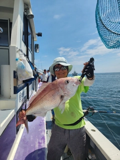 マダイの釣果