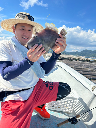 カワハギの釣果