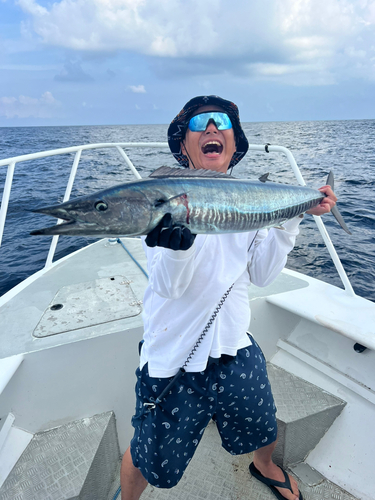 オキサワラの釣果