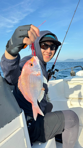 レンコダイの釣果