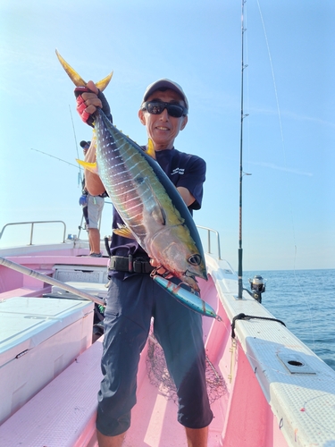 キハダマグロの釣果