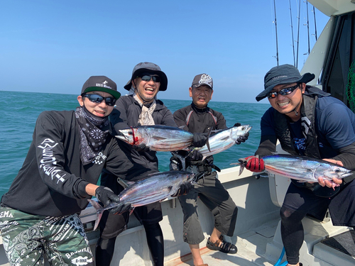 カツオの釣果