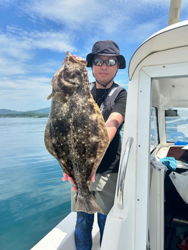 ヒラメの釣果