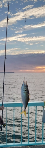 福間漁港海浜公園