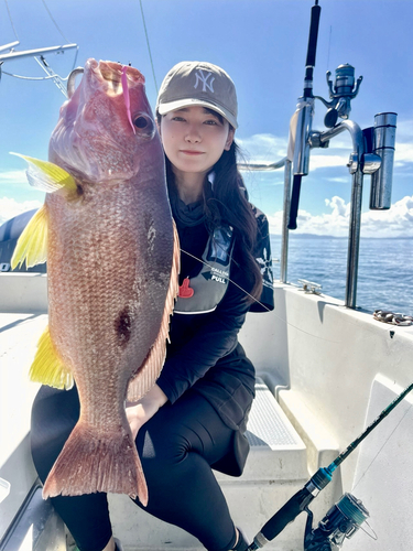 クロホシフエダイの釣果