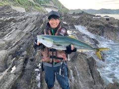 ワラサの釣果