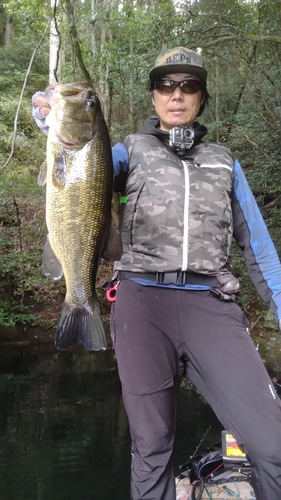 ブラックバスの釣果