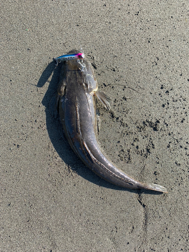 辻堂海浜公園前