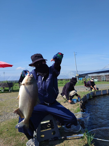 コロソマの釣果