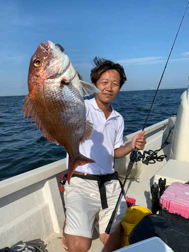 マダイの釣果