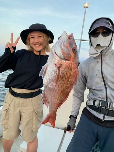 マダイの釣果