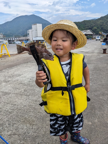 ヒトミハタの釣果