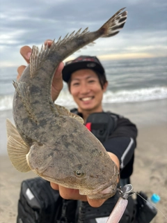 マゴチの釣果