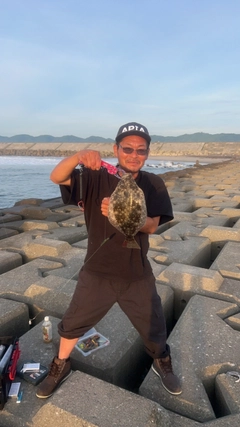 マゴチの釣果