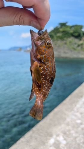 高浜港