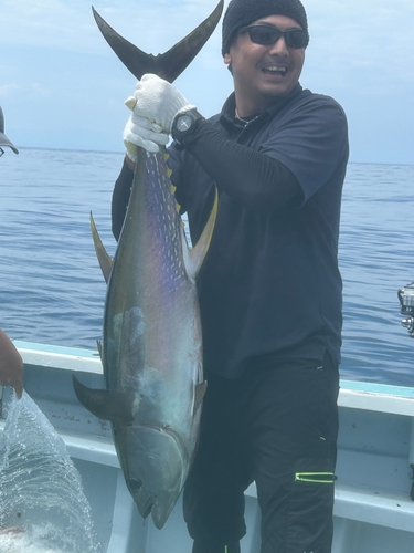 キハダマグロの釣果