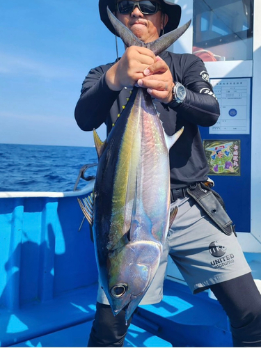 キハダマグロの釣果