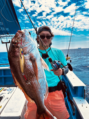 タイの釣果