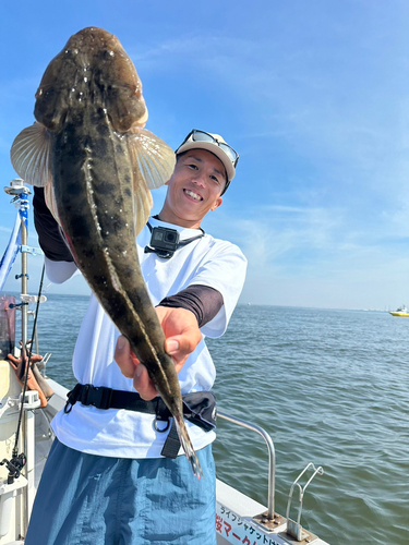 マゴチの釣果