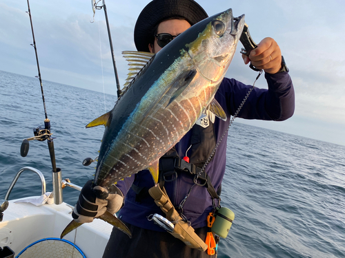 キハダマグロの釣果