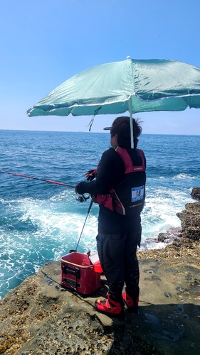 オナガグレの釣果