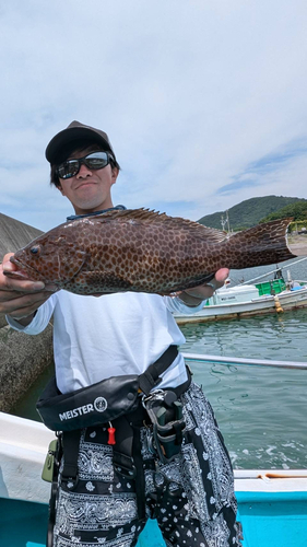 オオモンハタの釣果