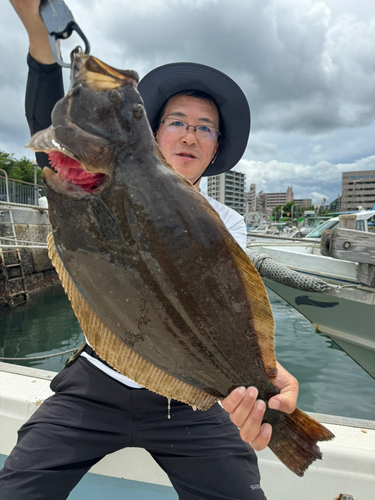 ヒラメの釣果